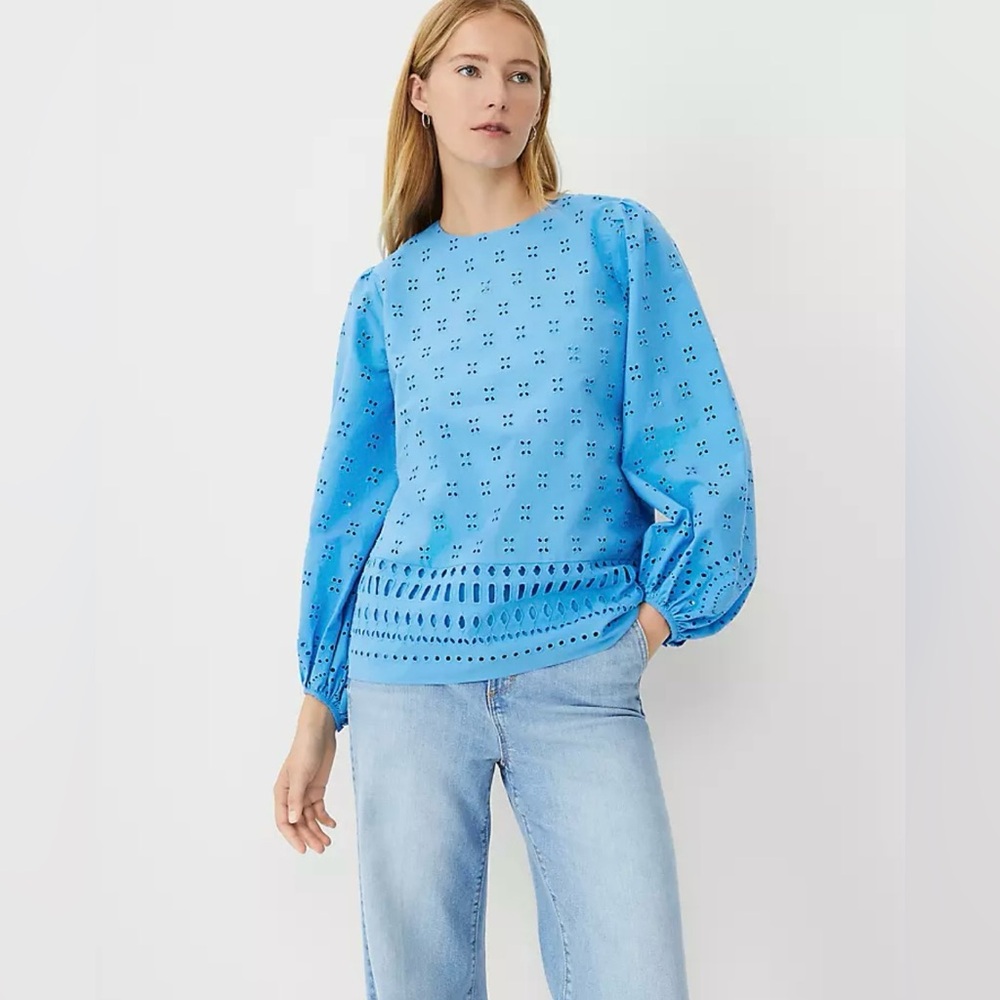 NWT! Ann Taylor Eyelet Blouse